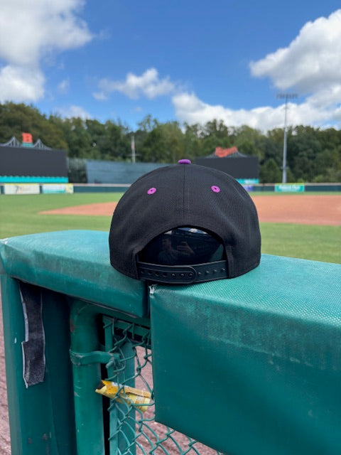 Chesapeake Baysox New Era Spooky 9Forty