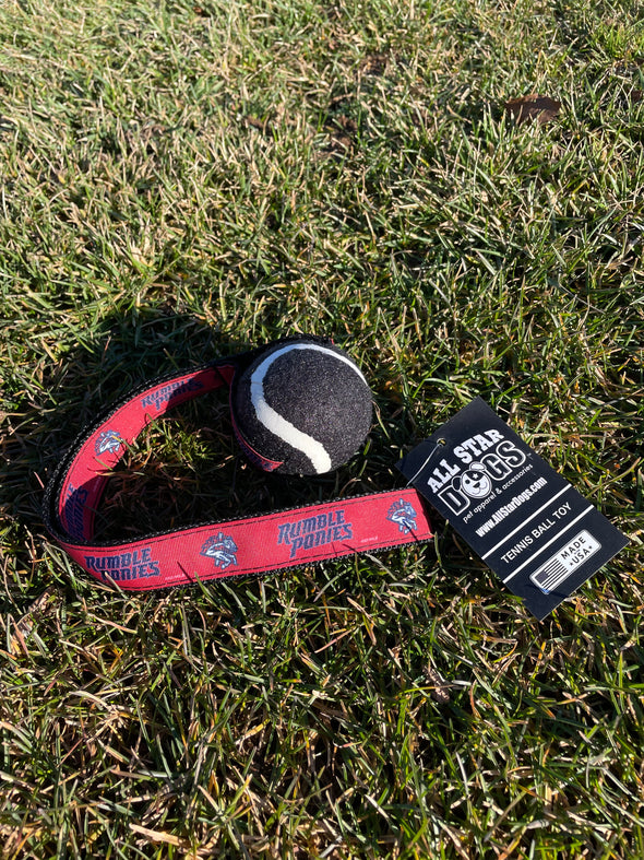 BRP Tennis Ball Dog Toy