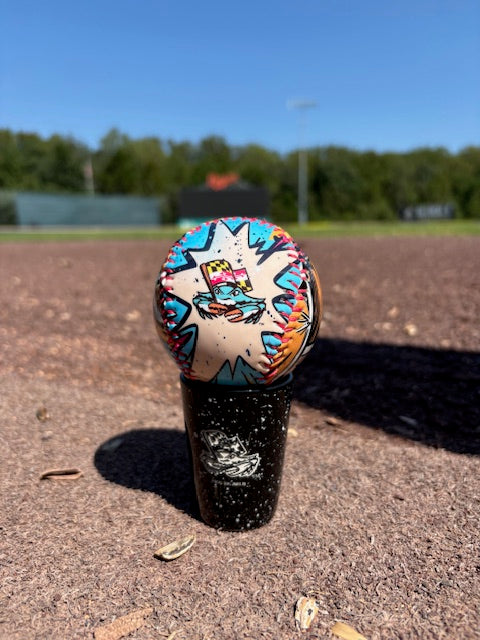 Chesapeake Baysox BASEBALL Comic