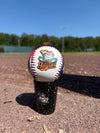 Chesapeake Baysox American Flag Baseball