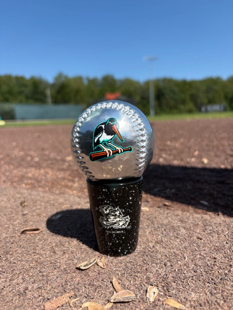 Chesapeake Baysox BASEBALL Mitt SILVER