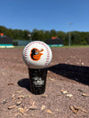 Chesapeake Baysox Crab Orioles  Baseball
