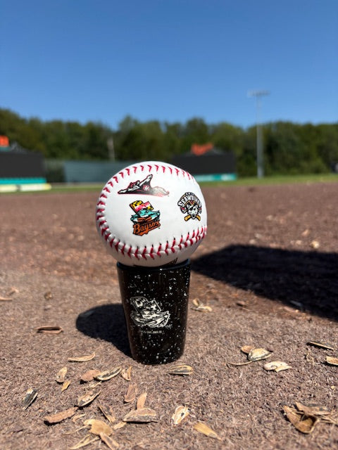 Chesapeake Baysox Eastern League Baseball