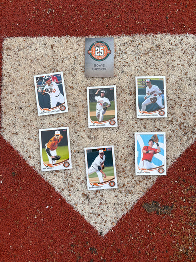 Chesapeake Baysox 2017 UPDATE Set