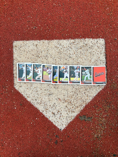 Chesapeake Baysox 2015 UPDATE Set