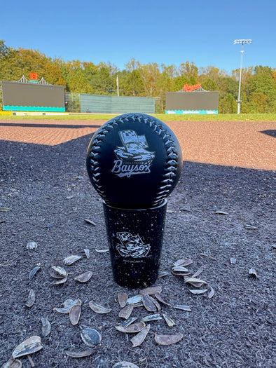 Chesapeake Baysox Rawlings Primary Logo BLACK Baseball