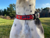 Portland Sea Dogs Pet Collar