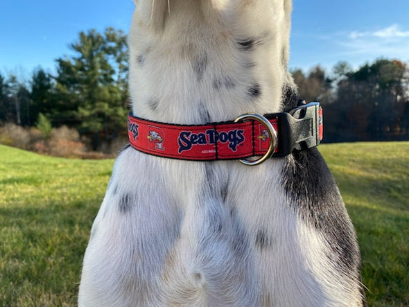 Portland Sea Dogs Pet Collar