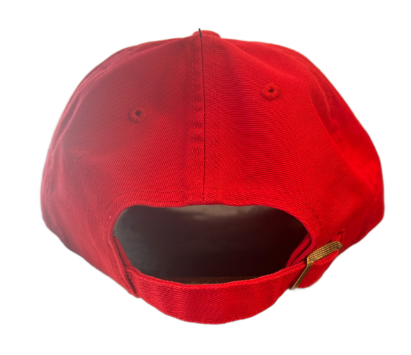 '47 Brand Oily Clean Up Adjustable Cap