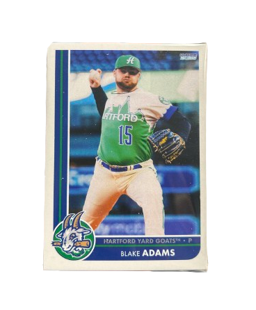 Hartford Yard Goats Choice Cards 2025 Team Set