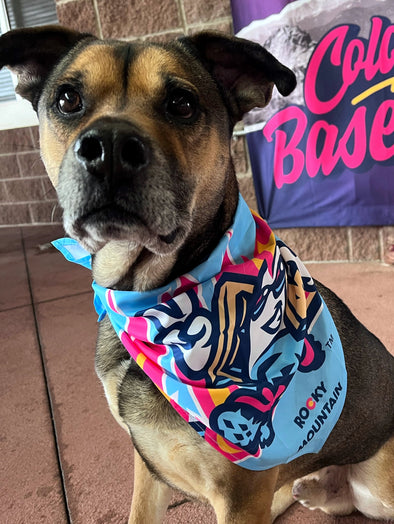 Dog Bandana