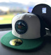 Round Rock Express New Era Customs PCL 101 5950