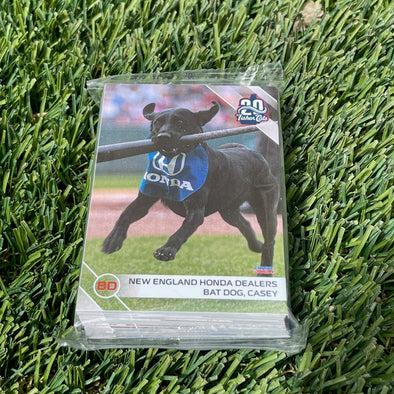 New Hampshire Fisher Cat 2024 Team Card Set