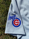Iowa Cubs Game Worn Gray Jersey #47
