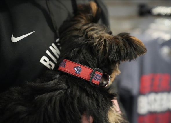 BRP Dog Collar