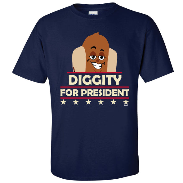 Lehigh Valley IronPigs Diggity For President
