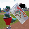 Great Lakes Loons Banner Flag