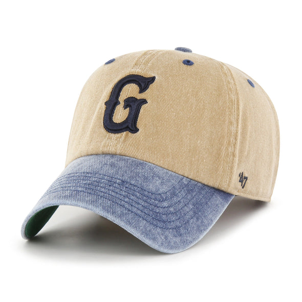 Greenville Drive 47 Brand Eldin Side Patch Clean Up Hat