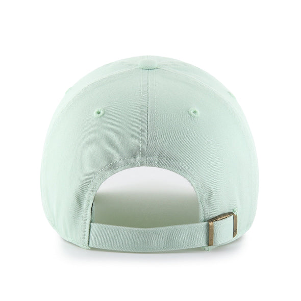 '47 JOYFUL CLEAN UP CAP