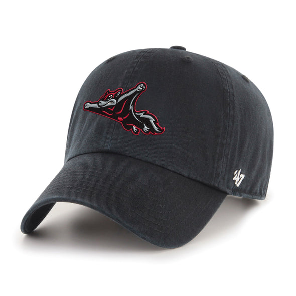 Richmond Flying Squirrels '47 Alternate Clean Up