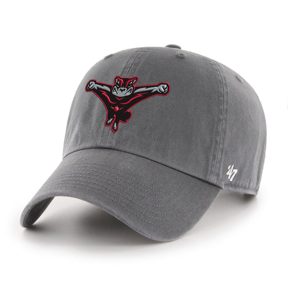 Richmond Flying Squirrels '47 Home Clean Up