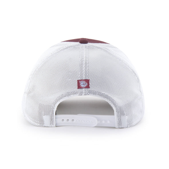 Lehigh Valley IronPigs Scratch Rope Trucker