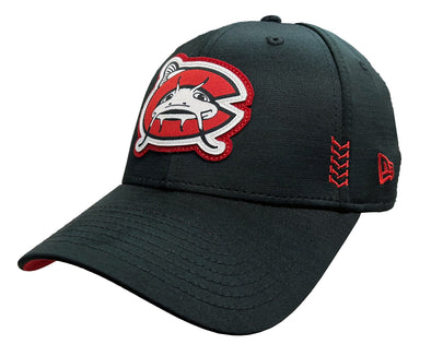 Mudcats baseball hat on sale