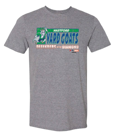 Hartford Yard Goats Defenders of the Diamond Youth Grey Tee