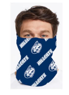 Lynchburg Hillcats Face Shield