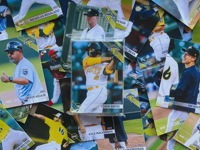 Fireflies 2024 Team Set