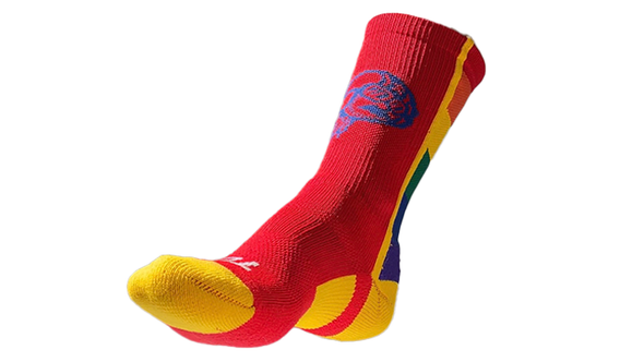 2023 Rainbow Pride Socks