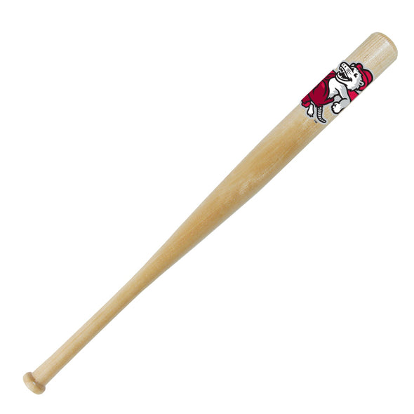 Arkansas Travelers Coopersburg Sports Otey Mini Bat