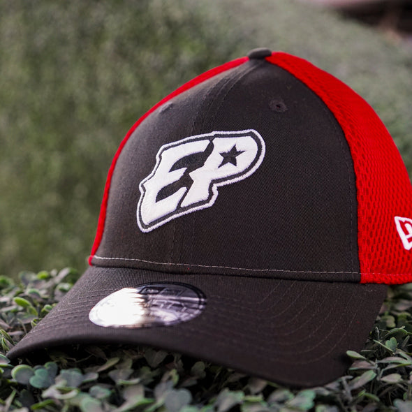 CHIHUAHUAS STRETCH FIT MESH HAT- NEW ERA