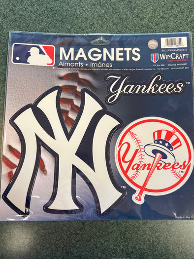 Somerset Patriots 3 Pack Magnet Set