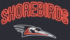 Delmarva Shorebirds 108 Stitches Neon Tee