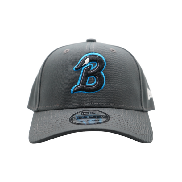 Beloit Sky Carp 9Forty Dark Graphite B Adjustable Cap