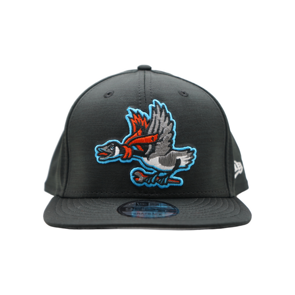 Beloit Sky Carp New Era 9Fifty Home Clubhouse Flat Bill Snapback Hat