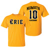 Erie SeaWolves BR Numata Shirsey