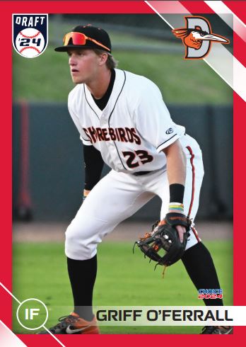 Delmarva Shorebirds 2024 Team Set + Promo Set