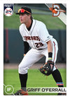 Delmarva Shorebirds 2024 Team Set + Promo Set