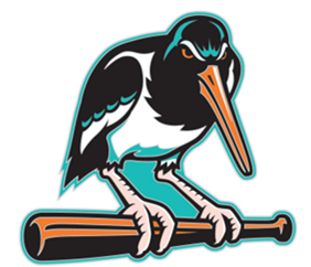 Chesapeake Baysox PIN Enamel Oystercatcher