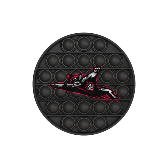 Richmond Flying Squirrels 2 Pack FOCO Push-Itz