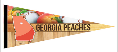 Gwinnett Stripers Georgia Peaches Wincraft  Pennant