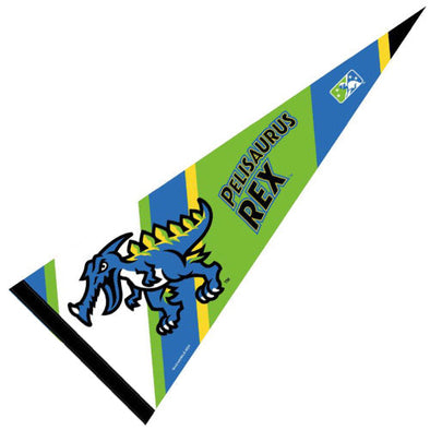 MYRTLE BEACH PELICANS WINCRAFT PELISAURUS REX FELT PENNANT