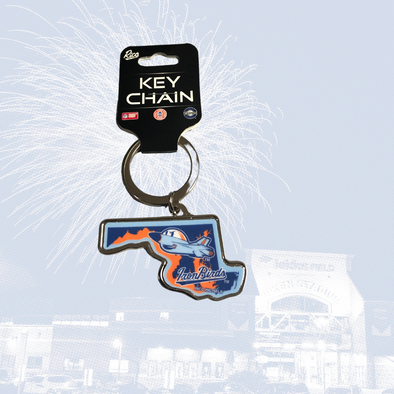 Aberdeen IronBirds - State Logo Keychain