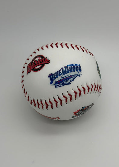 Pensacola Blue Wahoos Southern League Baseball