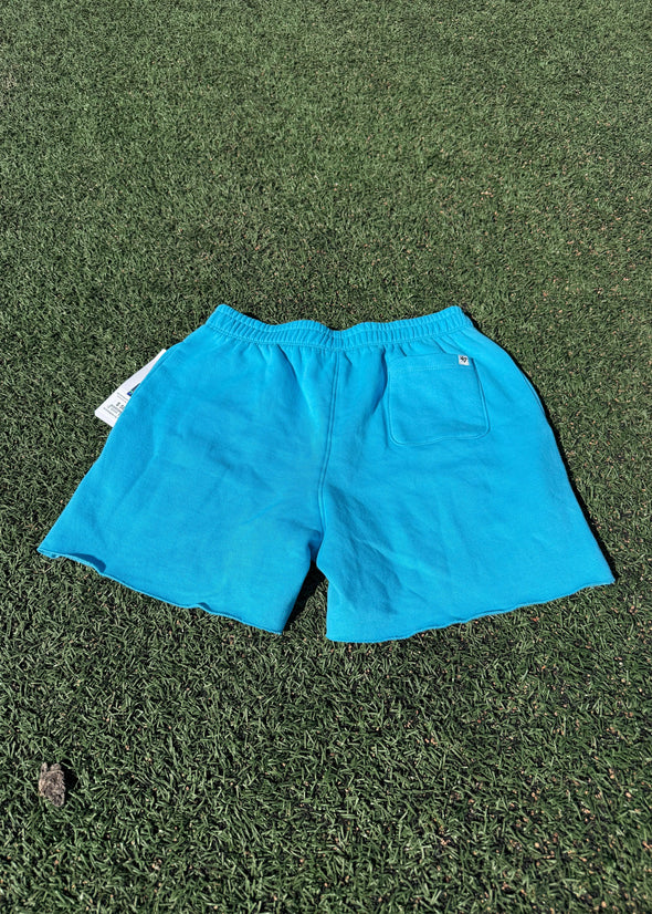 Pensacola Blue Wahoos '47 Brighten Up Venice Mullets Shorts