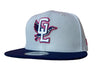 Great Lakes Loons New Era Gray & Blue Road Snapback