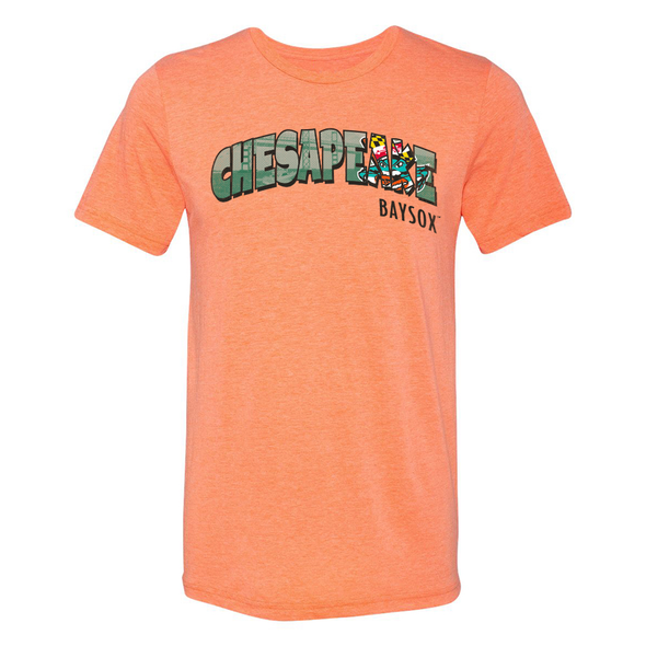 Chesapeake Baysox ADULT Postcard ORANGE
