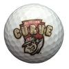 Altoona Curve Golf Set